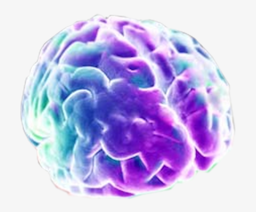 Neon Brain - Pleasure Centre Of Brain, transparent png download