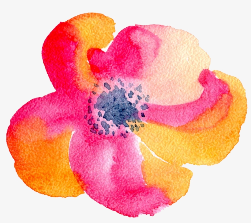 Sunset Bloom, transparent png download