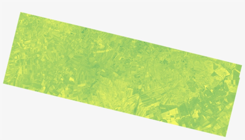 Pyplot As Plt Plt - Grass, transparent png download
