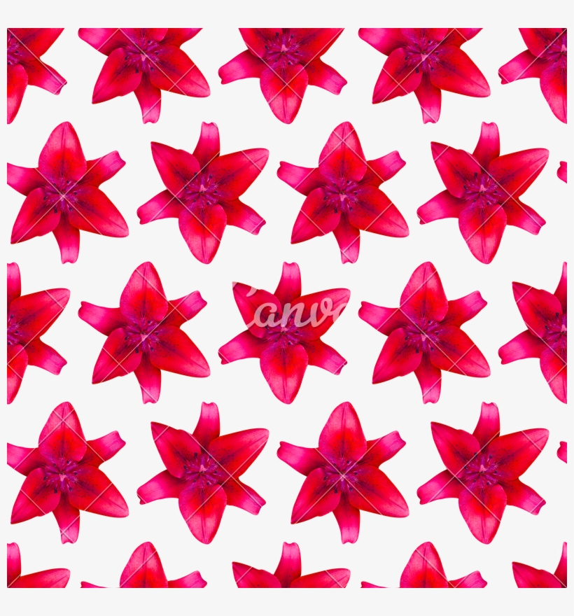 Red And Purple Background - Canva, transparent png download