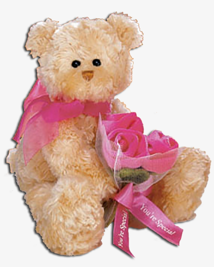 Gund Mother's Day Teddy Bears With Flowers - Mothers Day Flowers Teddy, transparent png download