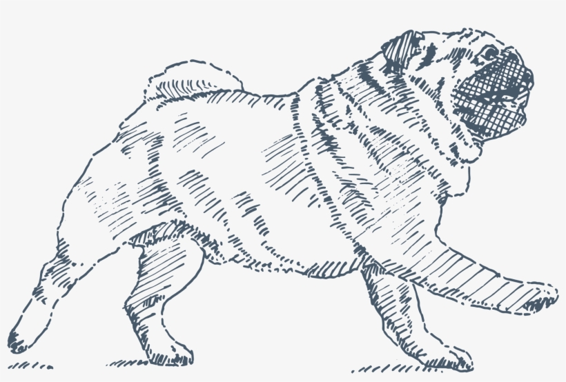 Decoration Icon - Ancient Dog Breeds, transparent png download