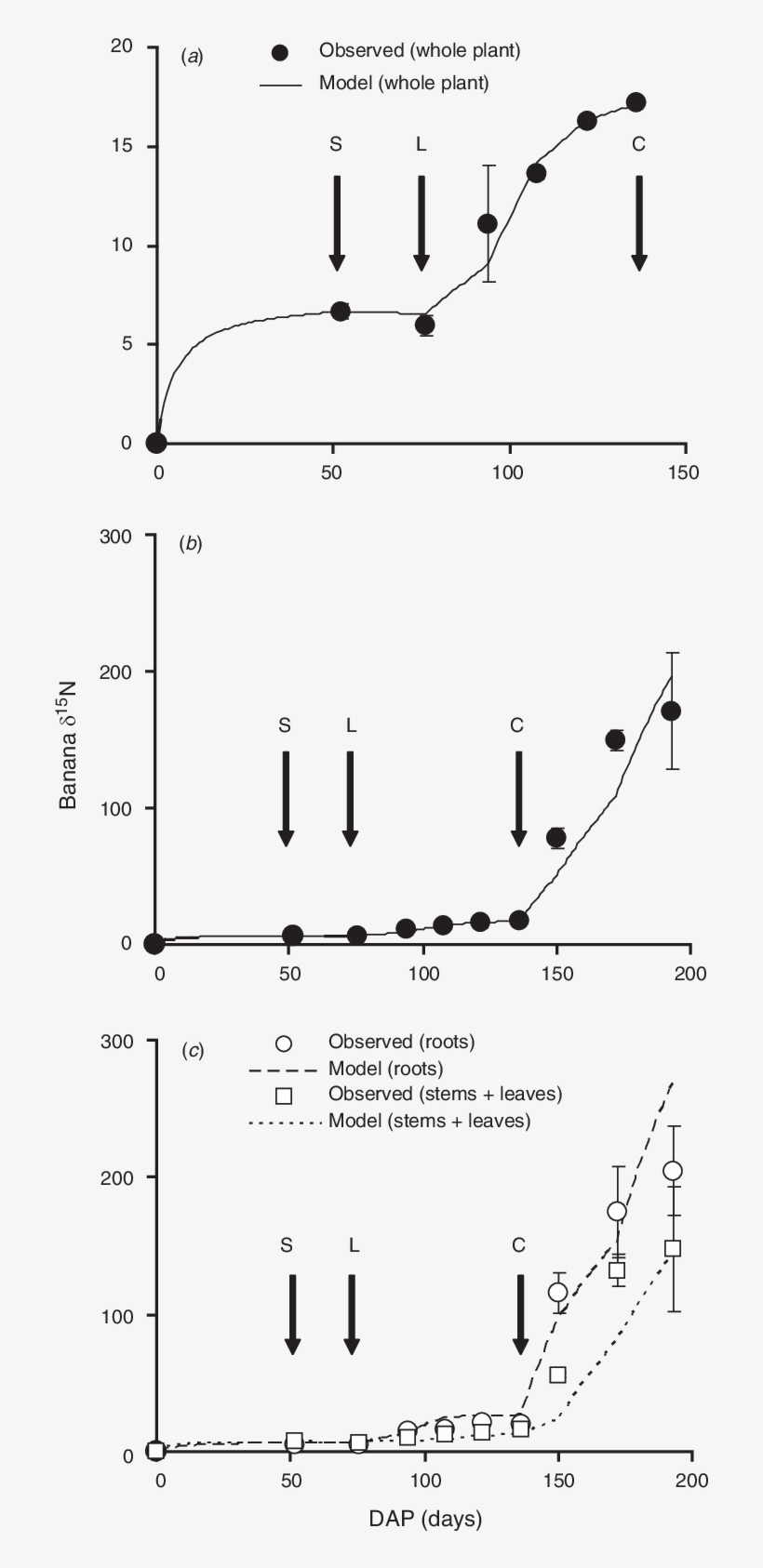 Observed And Simulated D 15 N Values Of Banana In Expt - Diagram, transparent png download