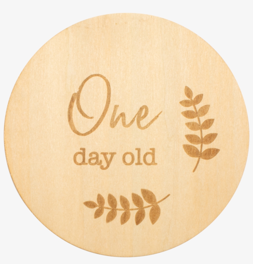 One Day Old Milestone Disc - Goplay, transparent png download