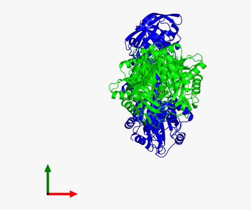 <div Class='caption-body'><ul Class ='image Legend - Graphic Design, transparent png download