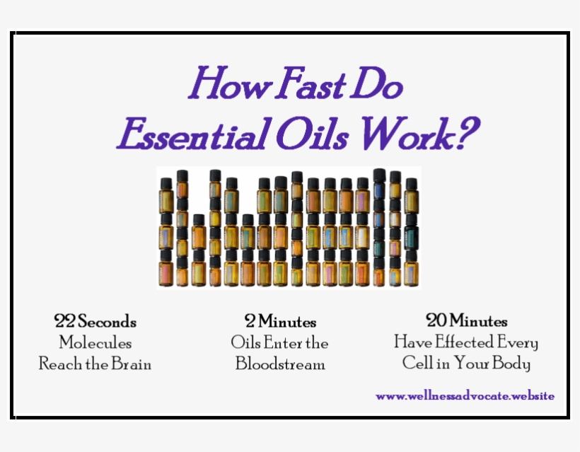 Doterra Essential Oil Wellness Advocate - Long Does It Take For Essential Oils, transparent png download