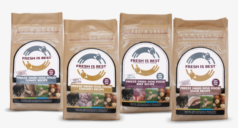 Kitten, transparent png download