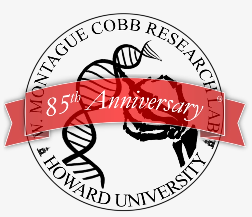 Cobb Seal 8t5th Ann Blackclear, transparent png download
