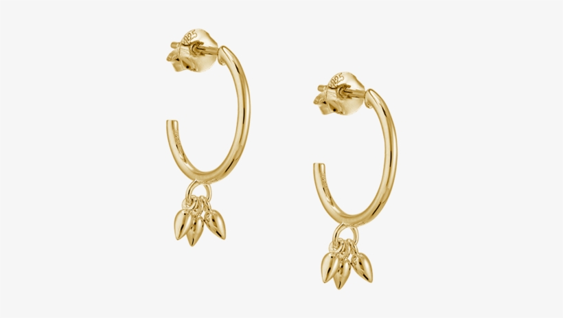 Droplet Hoop Earrings Image - Earrings, transparent png download