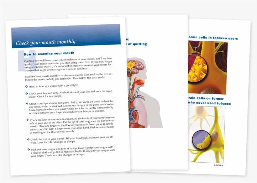 Laminated Graphic Cards - Flyer, transparent png download