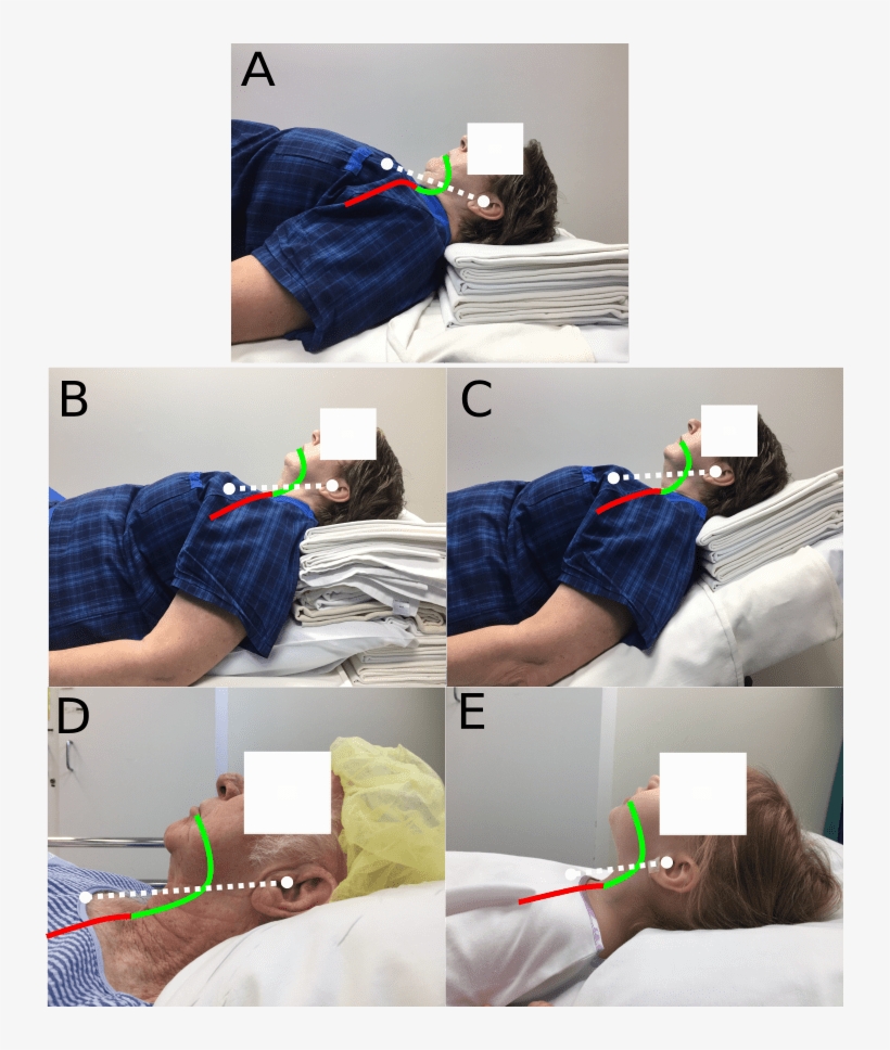 Greenland On Positioning - Bedroom, transparent png download