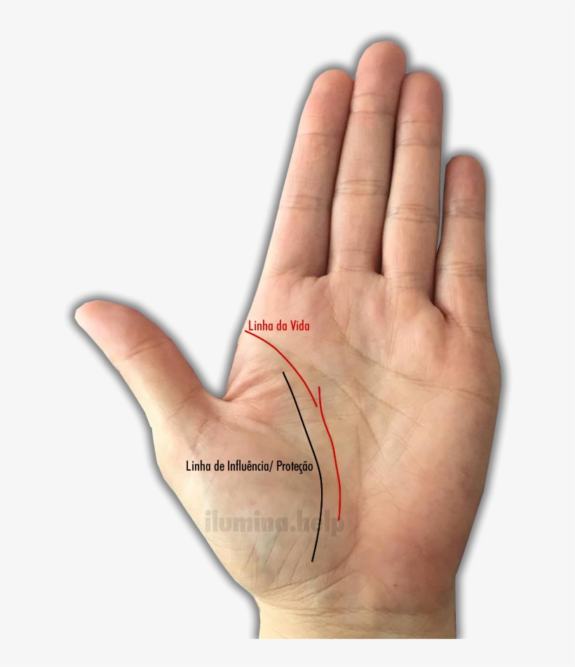 A - Hand, transparent png download