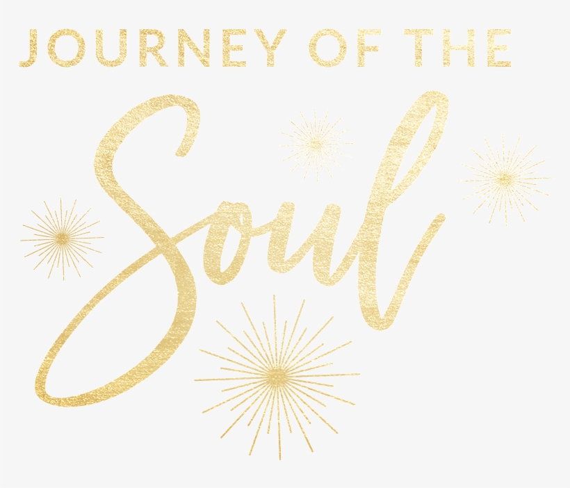 Shine From Within Course - Floral Design, transparent png download