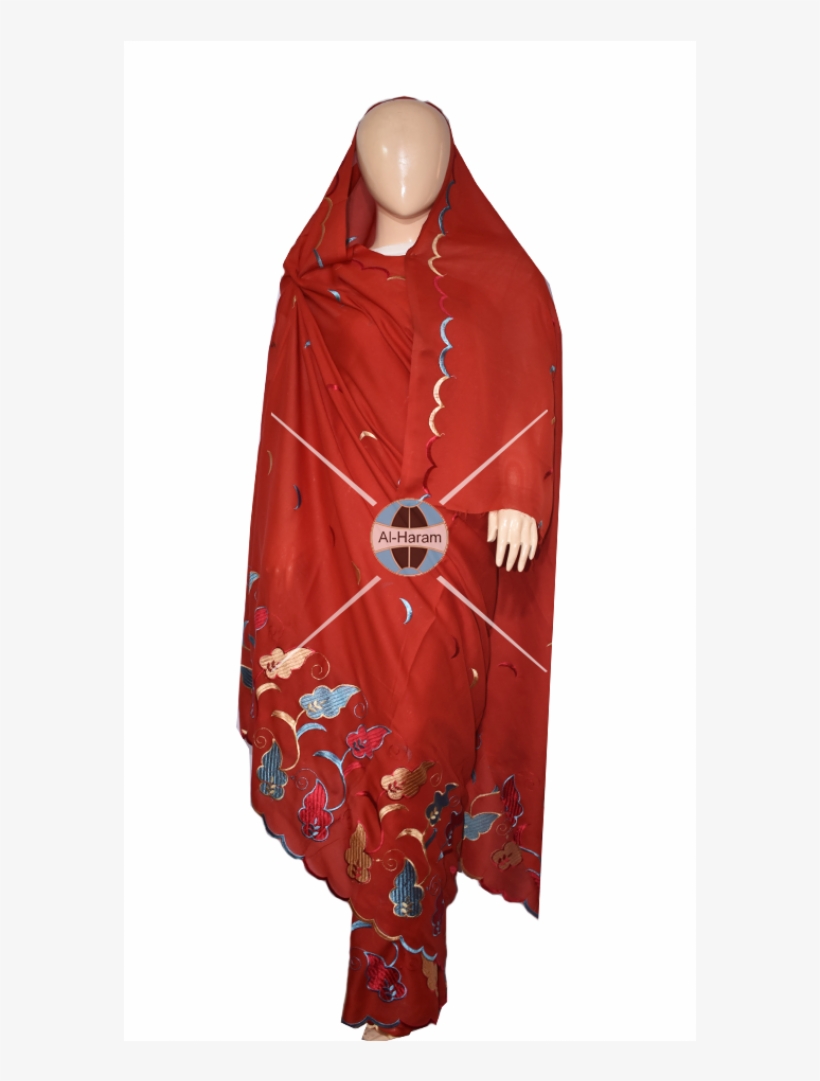 Women Saree Embroidery Design 2018 - Cape, transparent png download