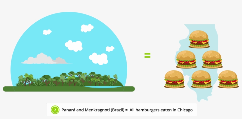 The Rainforests We Protect, Trap Co2 - Cheeseburger, transparent png download