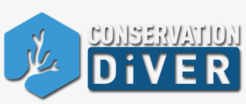 Conservation Diver - Graphic Design, transparent png download