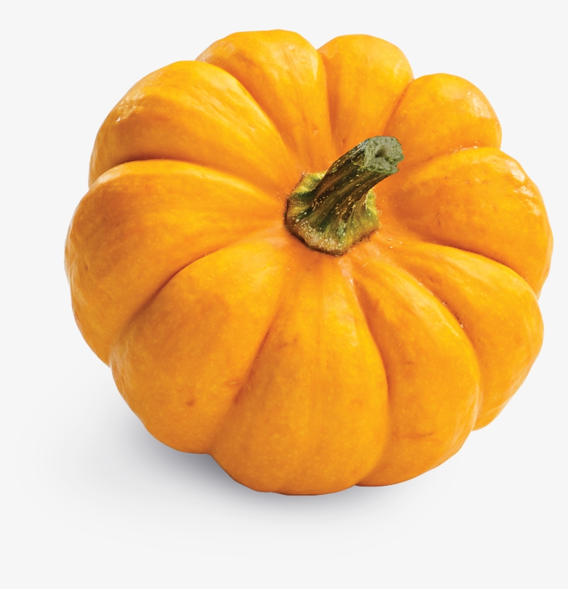 Pumpkin, transparent png download