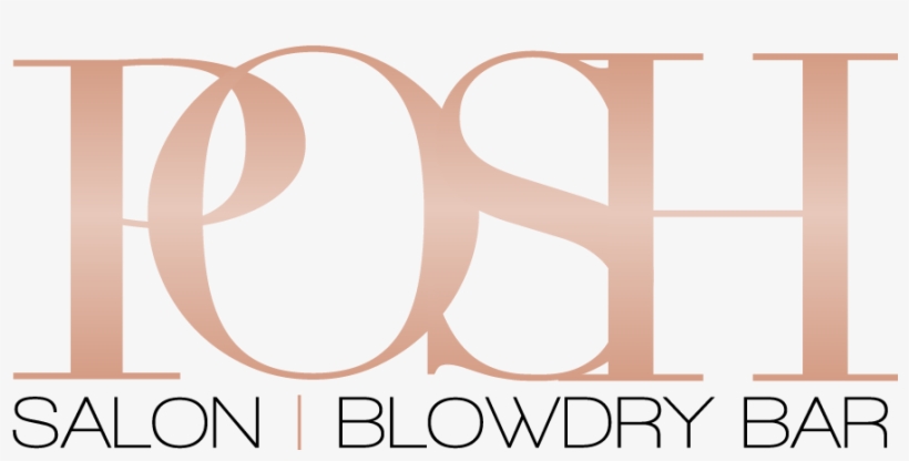 Posh Salon And Blow Dry Bar - Poster, transparent png download