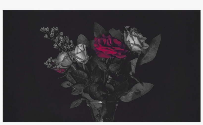 Score 50% - Цитаталар Кыргызча Достук, transparent png download