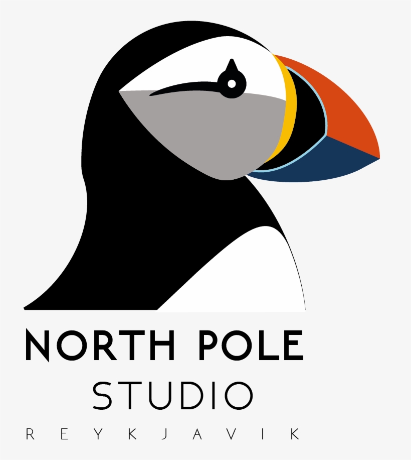 Seabird, transparent png download