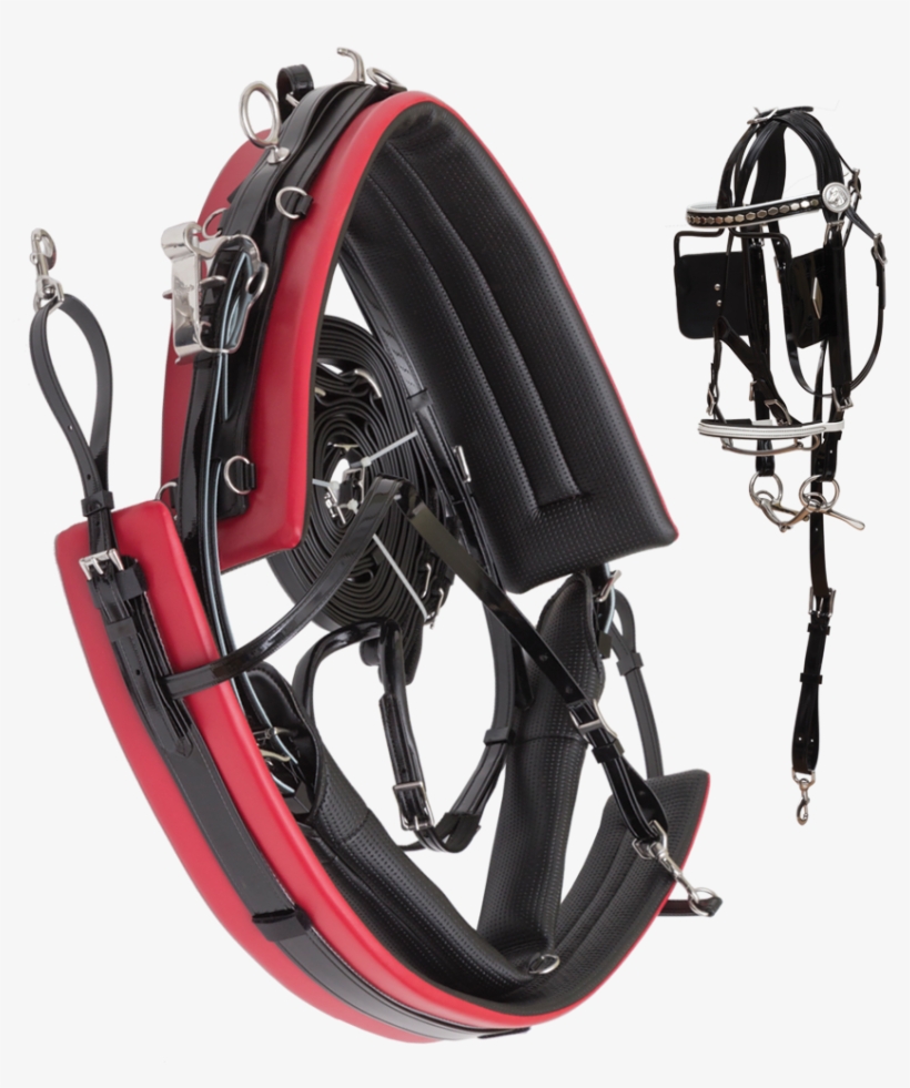 Amish Jogging Harness [6503] - Diving Regulator, transparent png download