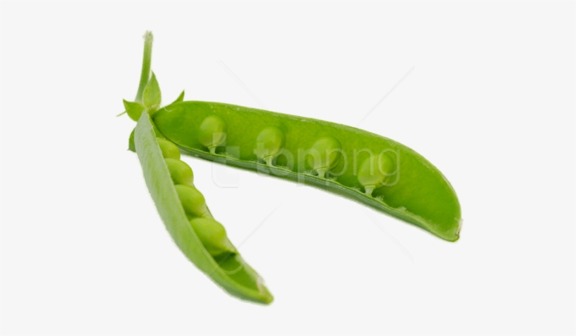 Free Png Pea Png Images Transparent - Vaina Png, transparent png download