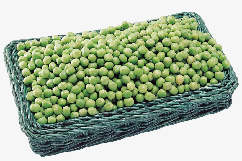 Pea, transparent png download