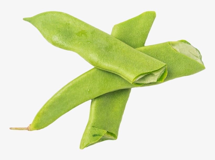 Green Beans - Sweet Gum, transparent png download