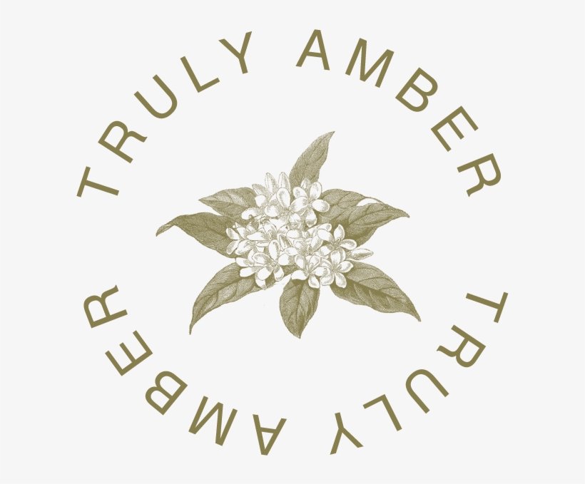 Shay Mitchell Png, transparent png download