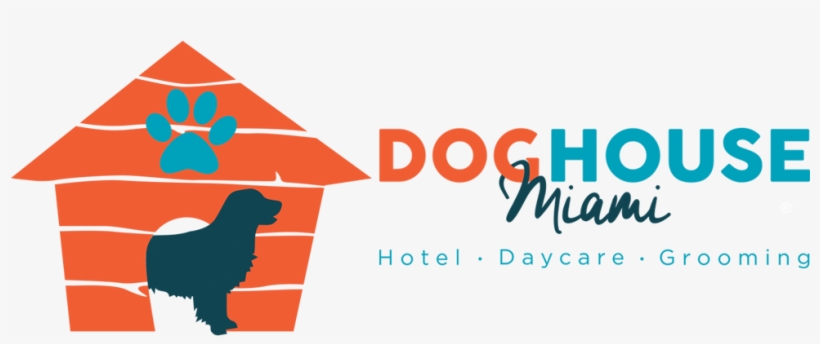 Golden Retriever, transparent png download