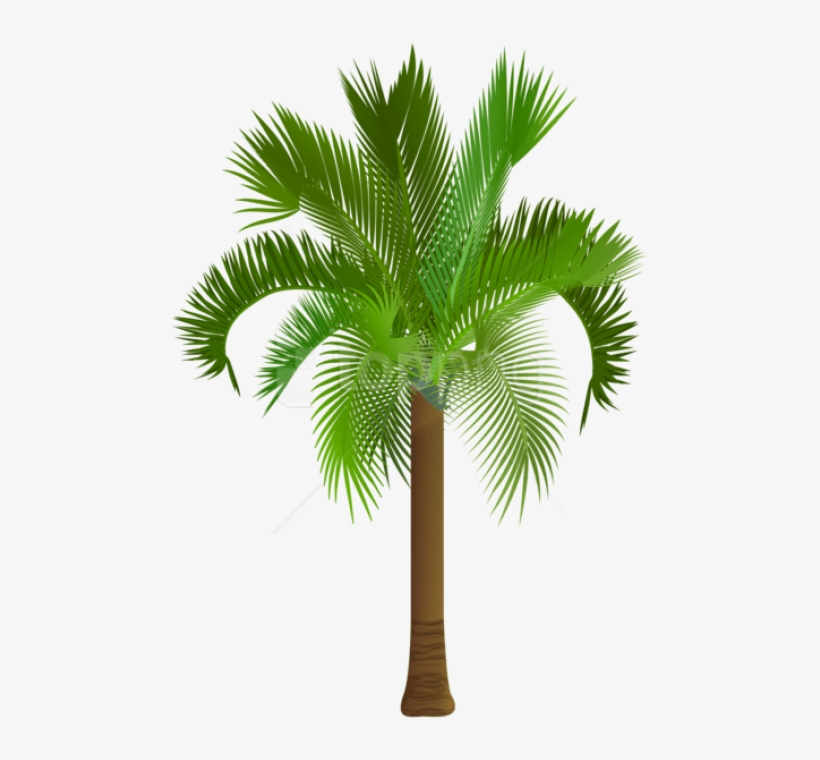 Free Png Palm Tree Png Images Transparent - Palmetto Tree Royalty Free, transparent png download