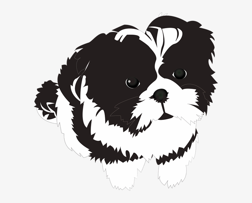 Saíba Tudo Sobre Shih Tzu - Funny Shih Tzu Sticker, transparent png download