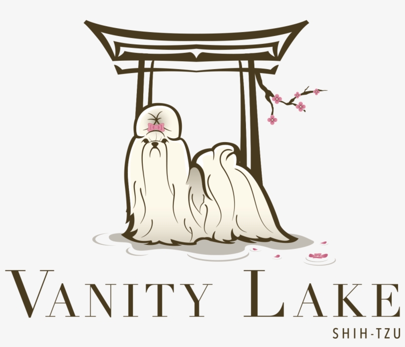 Vanity Lake - Shih Tzu - Illustration, transparent png download