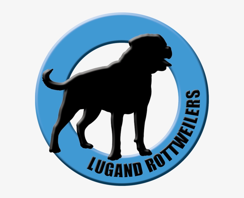 Lugand Rottweilers - Dog Catches Something, transparent png download