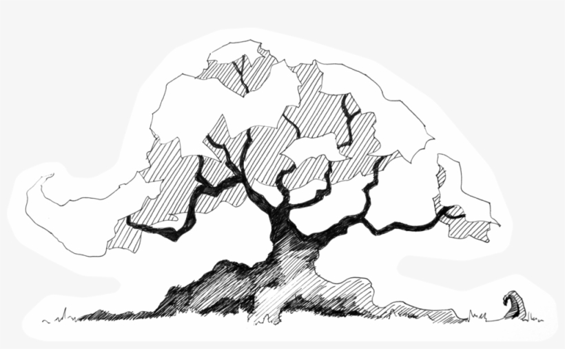 Trees In Plan Png, transparent png download