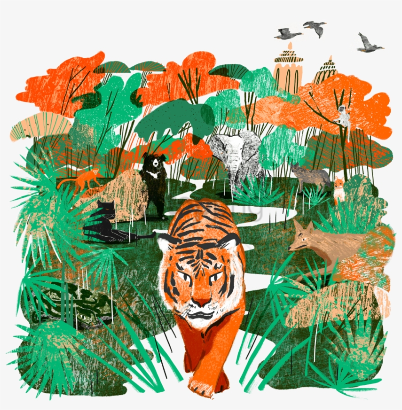 Free Png Download Jungle Book Illustration Png Images - Madhya Pradesh Illustration, transparent png download