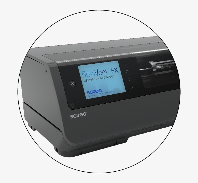 Hyperoxia Induced Bpd Leads To Airway Remodeling And - Gadget, transparent png download