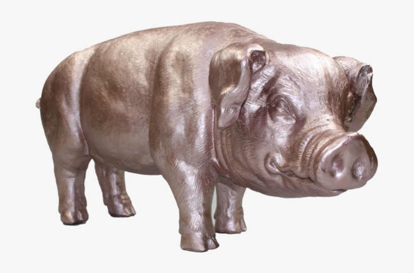 Piglet - Domestic Pig, transparent png download