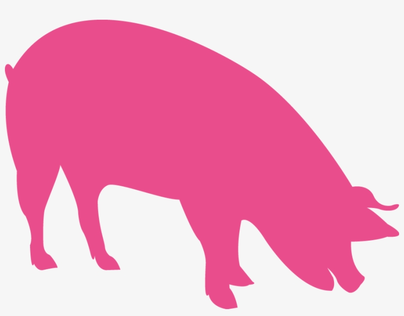 Vigorous Piglets And Finishers - Icon Piglets, transparent png download