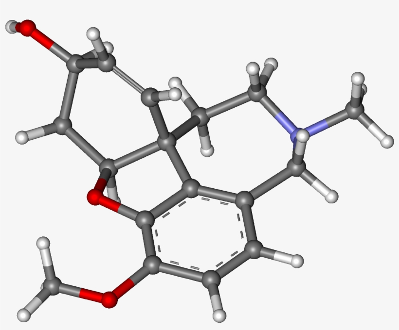 Galantamine Ball And Stick - Drawing, transparent png download