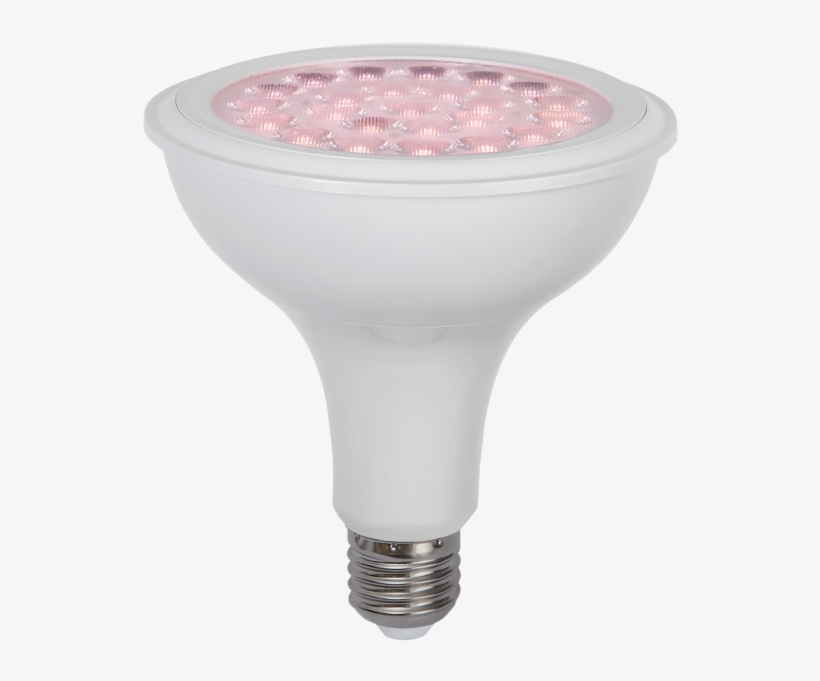 Vækstpære, transparent png download