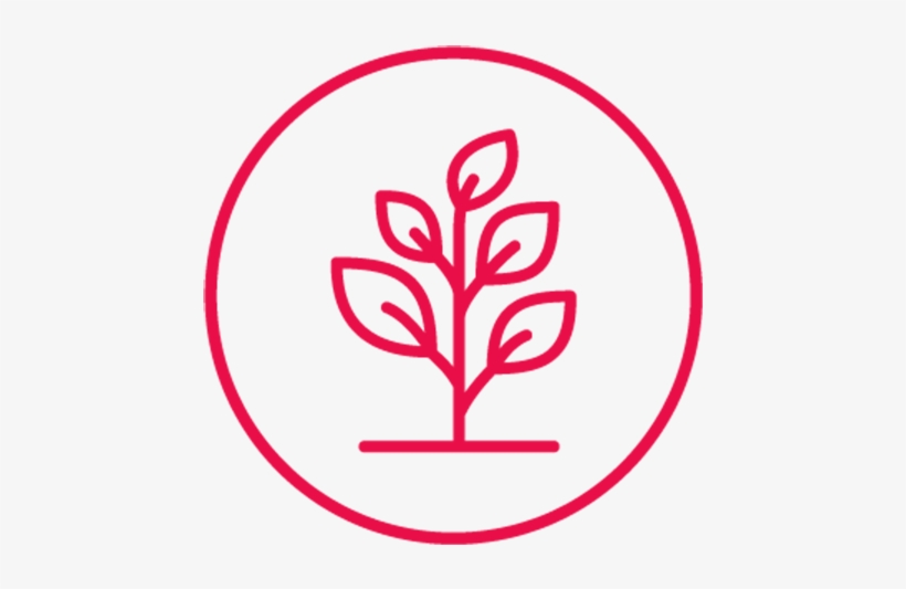 Darren Receives Reply About Sims Hill From Bristol - Emblem, transparent png download