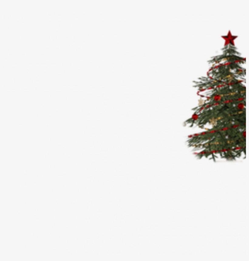 Christmas Tree Png - Merry Christmas Tree Png File, transparent png download