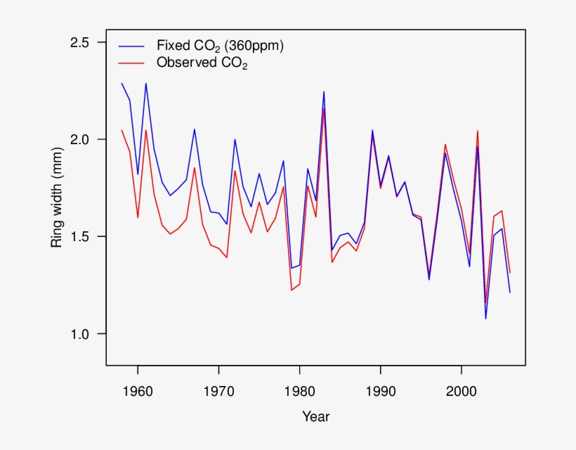 Co 2 Effect On Tree Growth - Diagram, transparent png download