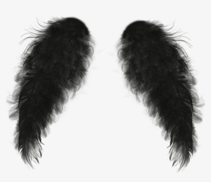 Wings Sticker - Monochrome, transparent png download