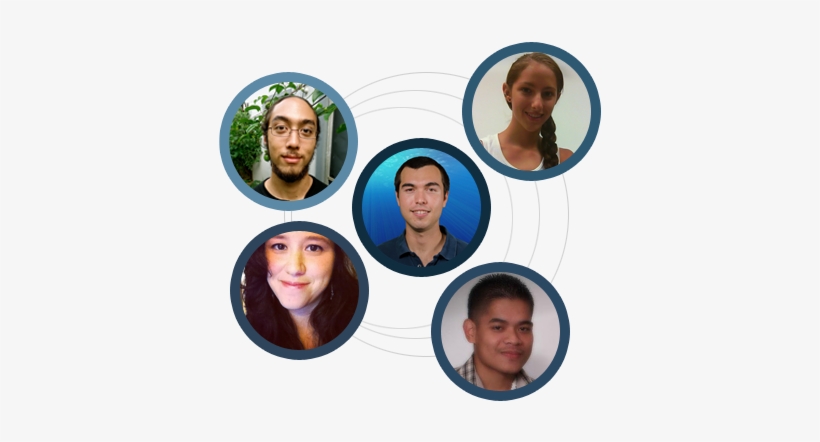 Interns - Lace Wig, transparent png download