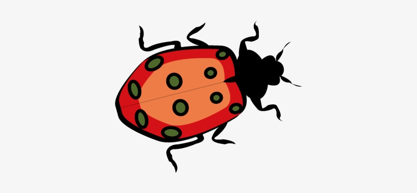 Playa Png - Bug, transparent png download