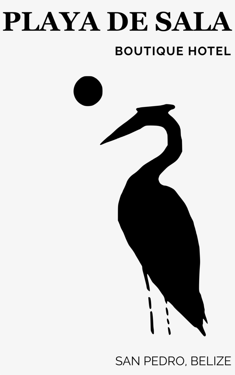 Seabird, transparent png download