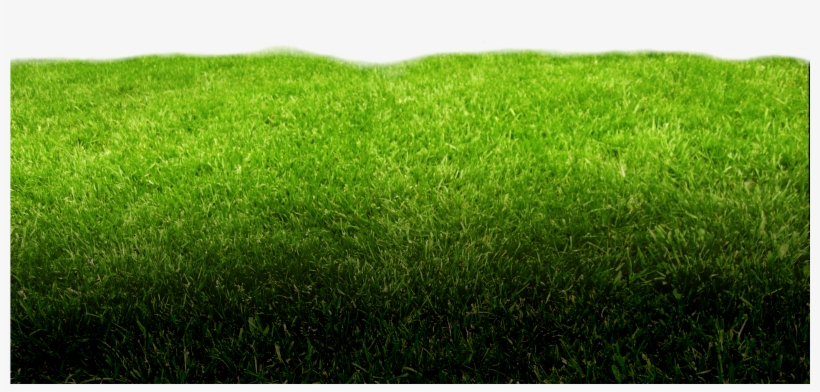 Green Footer Bg - Lawn, transparent png download