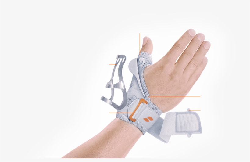 Closure Features Slip Stop And High Quality Micro Velcro, transparent png download